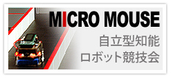 Micro Mouse